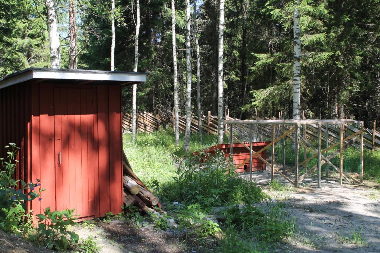 Villa Metsapirtti à Kolinkylä Extérieur photo